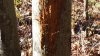 20201104_124328.jpg