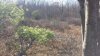 20201104_133503.jpg