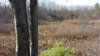 20201104_133453.jpg