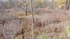 20201104_133449.jpg