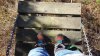 20201104_134129.jpg