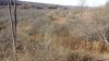 20201104_142237.jpg