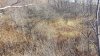 20201104_142230.jpg