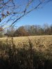 20201104_143136.jpg