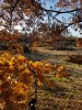 20201104_160855.jpg