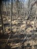 20201104_145834.jpg