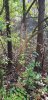 20201105_100308.jpg