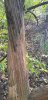 20201105_100349.jpg