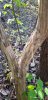 20201105_100327.jpg