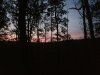 20201106_060927.jpg