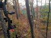 20201106_071823.jpg