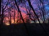 Image1604667855.543271.jpg