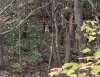 EB10E2AD-C7B1-44E9-82A7-F02388AA0BEF.jpeg