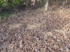 20201106_090131.jpg
