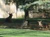 IMG_20201106_085815.jpg