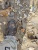 20201106_115431.jpg