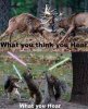 FB_IMG_1604689383204.jpeg