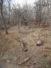 20201106_143107_001.jpg