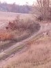 20201107_071641.jpg