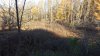 20201107_082512.jpg
