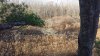 20201107_082445.jpg