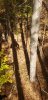 20201107_102918.jpeg