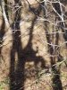 20201107_104013.jpg