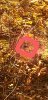 20201107_111529.jpeg