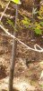 20201107_113647.jpeg