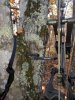 20201107_152456.jpg
