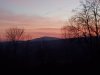 20201107_171153.jpg