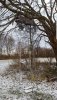 20201108_111155.jpg