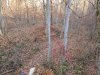 20201108_082041.jpg