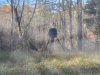 20201107_152250.jpg