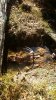 20201107_103411.jpg