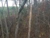 20201109_064555.jpg