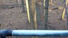 20201109_074003.jpg