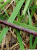 20201109_125332.jpg