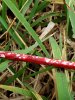 20201109_125326.jpg