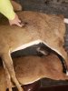 20201109_221033.jpg