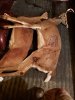 20201109_192414.jpg