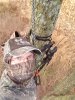 20201109_074556.jpg