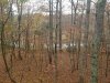20201111_144850.jpg