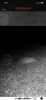 77EB9265-DCF7-4848-B9C8-07A5E49AF9AD.png