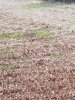 20201111_170851.jpg