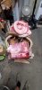 received_649621819246777.jpeg