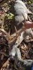 20201111_134035.jpg