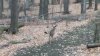 20201112_070231.jpg