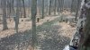 20201112_070222.jpg