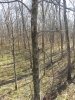 20201112_130717.jpg